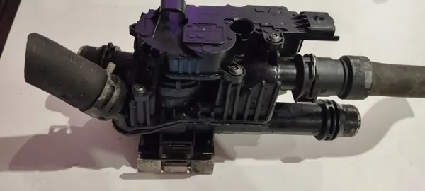 Termostato OEM 980354948007 para Citroen - Usado image 2