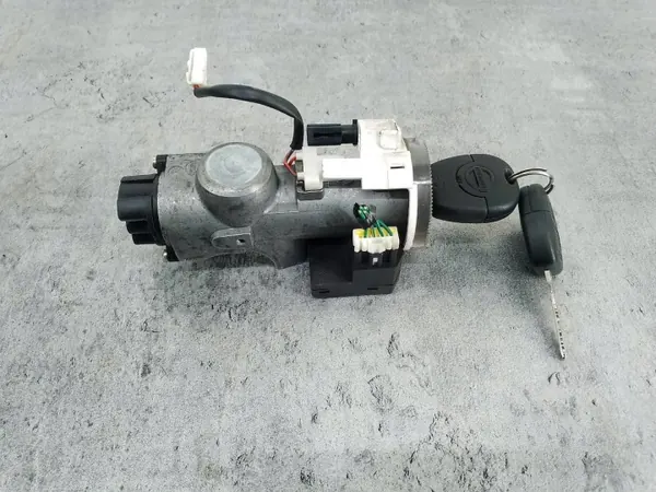 Siemens OEM 28590C9965 1.9 TDI stator voor Nissan Primera image 2