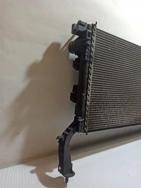 Radiador de agua Renault Laguna III 1.5DCI image 4