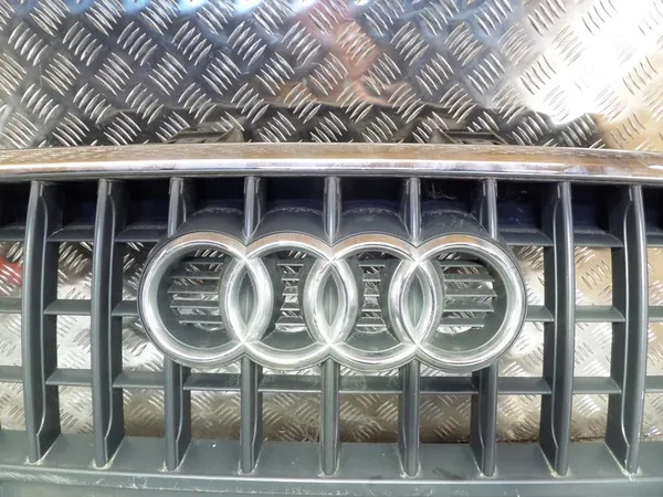 Marco de Rejilla Cromado Audi Q3 11-15 8U0853651H image 5