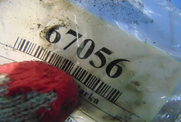 Turboalimentador BMW F10 2.0D 7823255 image 5