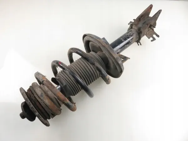 Peça de Auto Usada OEM 446946 da Wertteile image 7