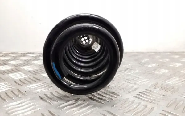 Volkswagen Tiguan 2024 Molla posteriore destra image 3