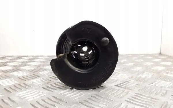 Volkswagen Tiguan 2024 Molla posteriore destra image 4