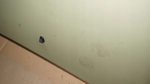 Motorhuv Volvo S40 II V50 II 2004 image 3