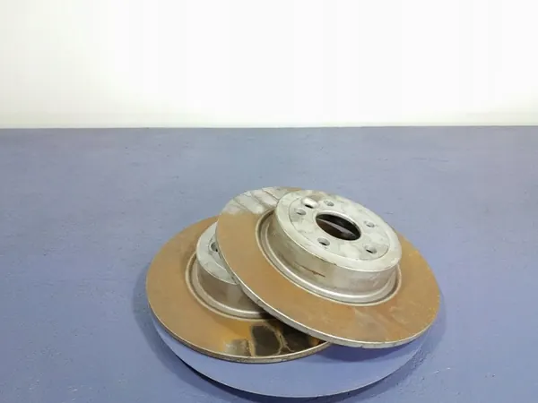 OEM Lochow-297194-01 Hintere Bremsscheiben 316mm image 2