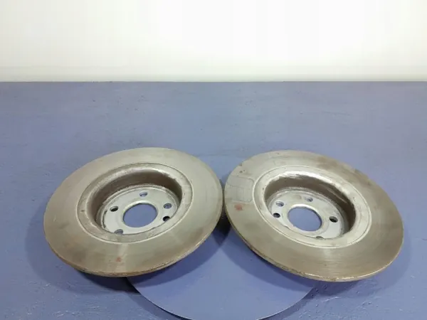 OEM Lochow-297194-01 Hintere Bremsscheiben 316mm image 3