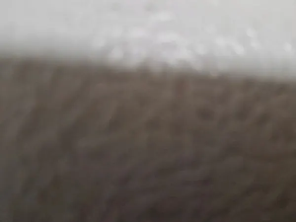 Front Left Wheel Arch Toyota C-HR 53876-F4012 image 8