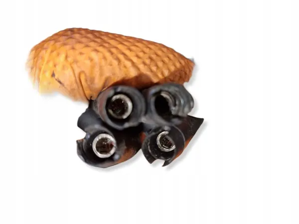 Glödstiftkabel OEM 00551976870 för Opel 1.9 CDTI image 7
