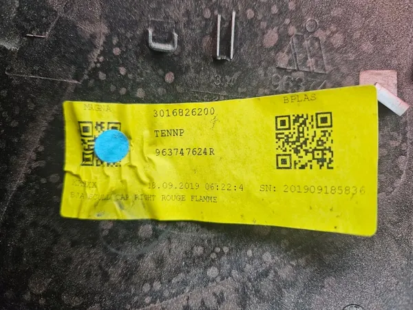 OEM 963737470R Oikea peilin kansi - Renault image 7