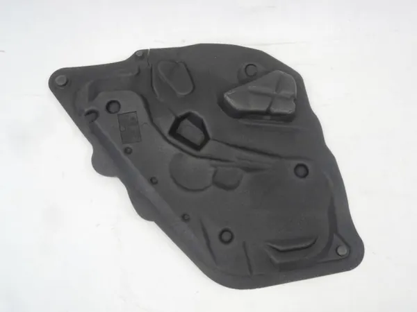 Isolamento Porta Traseira Direita BMW E71 OEM 51487355624 image 2
