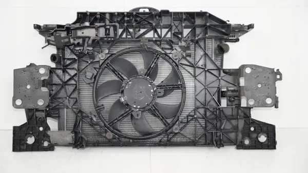 OEM 360204196 Etuhihna Renault Scenic III 09-13 image 6