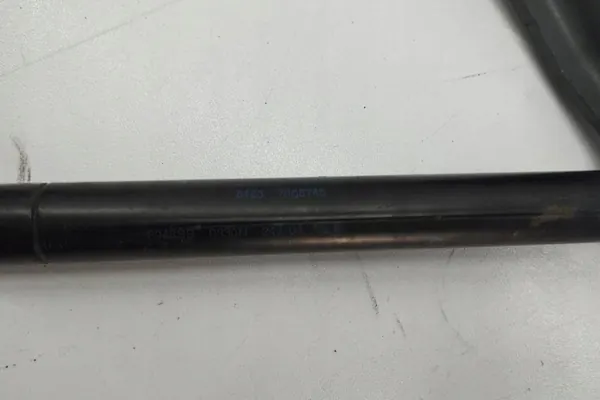 Bisagra de capó izquierda BMW 5 TOURING (E61) 7008745 image 6