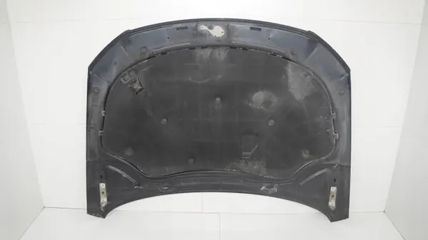 Motorafdekking OEM 360182931 voor VW Passat B6 2005-2010 image 10