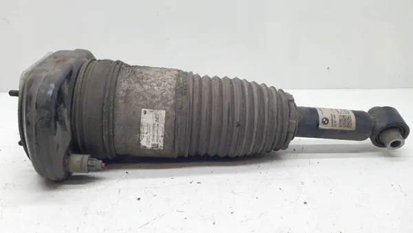 Amortisseur Arrière Gauche OEM 13981113 8149030 image 2