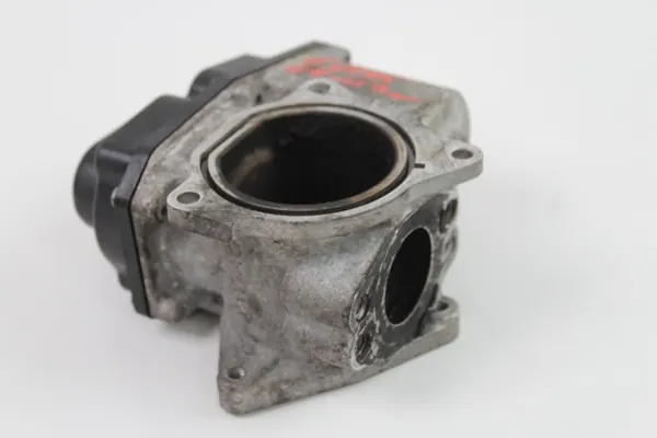 Gasklep OEM 360213299 voor SEAT Leon II 2.0 TDI image 4
