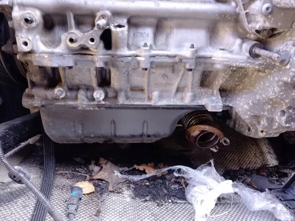 OEM YHZ YH01 Diesel Motor 1.5 Blue HDI 76-131PK image 3