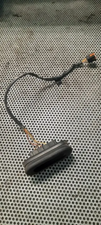 Junta de puerta OEM 252160003R para Renault Master image 2