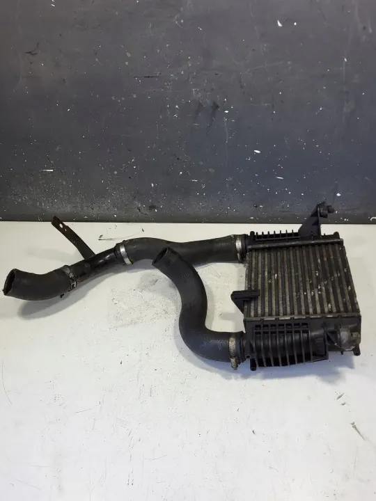 NISSAN Original 14461EM00A Intercooler image 4