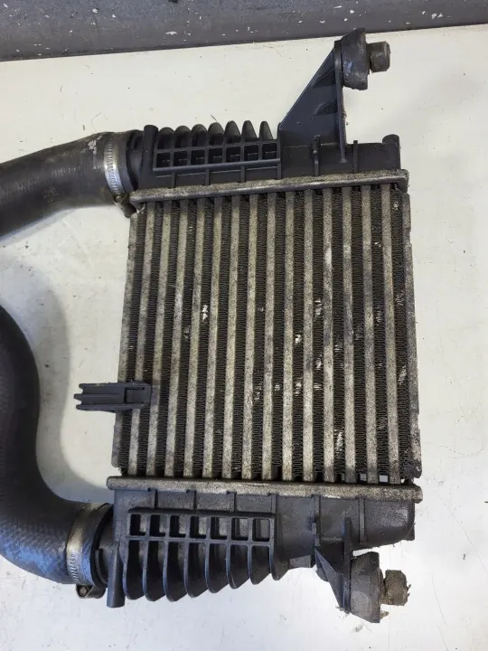 NISSAN Original 14461EM00A Intercooler image 5