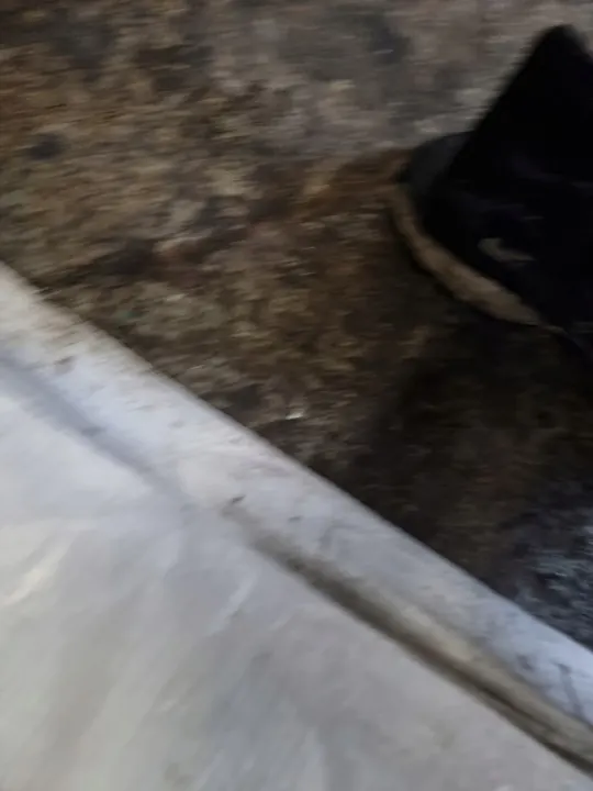 Oljefilterbas Chevrolet Captiva Opel Antara 2.2 CDTI image 5