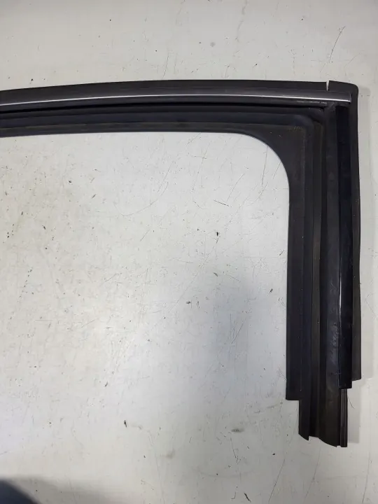 Junta Cromada Ventana Puerta Trasera Izq OEM 9674661280 image 3
