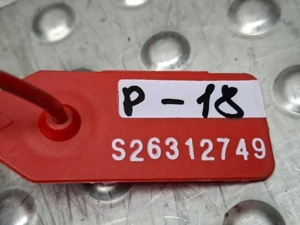 Contrôleur OEM S26312749 pour Citroen Peugeot 1.6 EHDI image 4