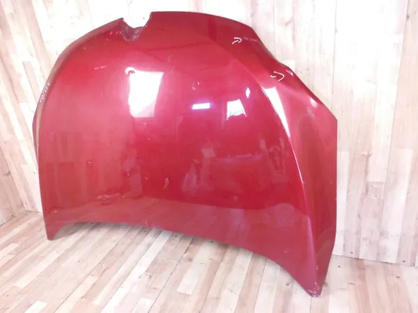 Renault Megane III Motorhuv 2008-2015 OEM 651009018R image 2