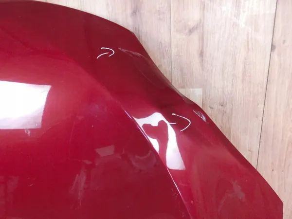 Renault Megane III Motorhuv 2008-2015 OEM 651009018R image 3