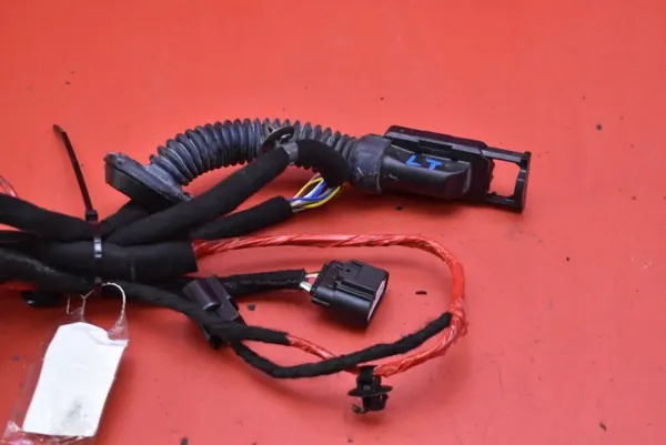 Faisceau Portière Arrière Gauche OEM 91620-GI010AA image 3