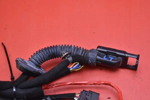 Faisceau Portière Arrière Gauche OEM 91620-GI010AA image 4