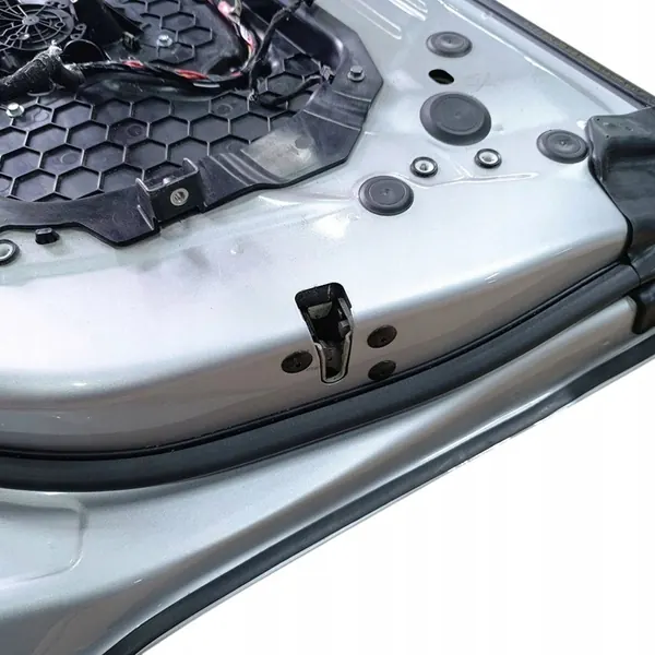 Höger framdörr Tesla Model 3 2018 image 9