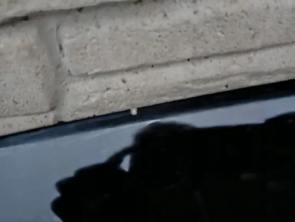 Frammask Volkswagen Tiguan 5NA823031K image 2