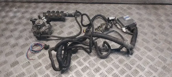 Optima LPG-sarja OEM 67R-010951, 67R-016407 image 2