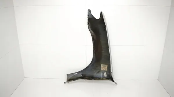 Aleta delantera derecha OEM 365577525 BMW X5 E53 99-03 image 10