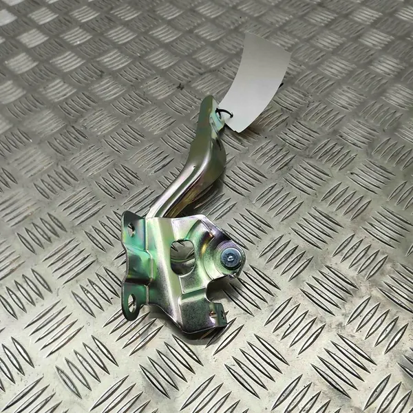 Bisagra de capó izquierda KIA Picanto 2014 image 4