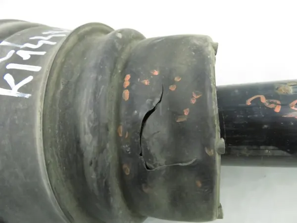 Ressort pneumatique OEM 22241480 RPD500910 image 5