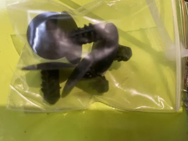 Motorhuvudisolering 658409767R Trafic III Nissan NV300 image 2