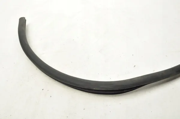 Junta de Puerta Derecha Mercedes AMG GT OEM A1906970451 image 3