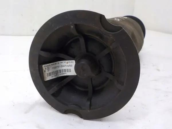 Luchtveer OEM 9676670180 voor Citroen C4 ophanging image 3