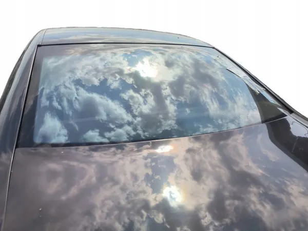 OEM 43R001106 Achterruit voor Volkswagen Phaeton image 3