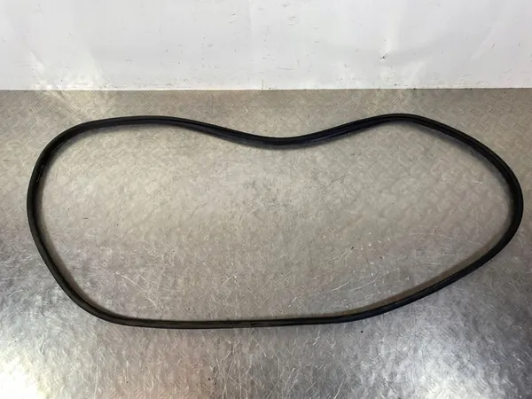 2023 Suzuki SX4 S-Cross Vedação da Porta Dianteira FOB49627 image 3