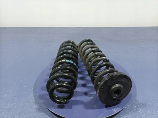 Ressorts suspension arrière OEM Lochow-327469- 2 pièces image 3