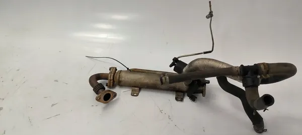 EGR Kühler Dodge Journey image 4