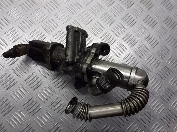 Pakokaasujäähdytin Fiat Grande Punto 1.3 JTD 55201144 image 2