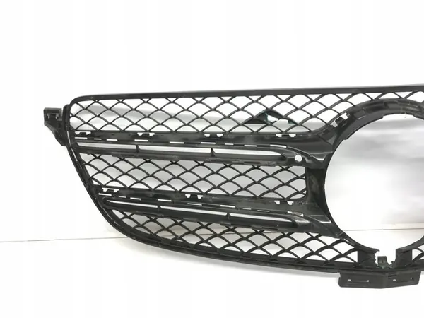 Griglia Mercedes-Benz GLE AMG 2021 A1668880260 image 2