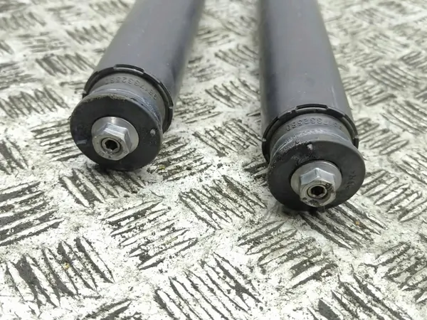 Ammortizzatore posteriore completo Citroen C5 Aircross 2024 OEM image 8