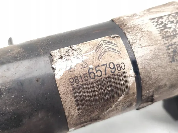 Ammortizzatore anteriore Citroen C3 con molla 2021 OEM image 7