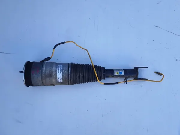 Amortecedor Dianteiro Esquerdo Tesla S OEM 6006351-00-C image 2