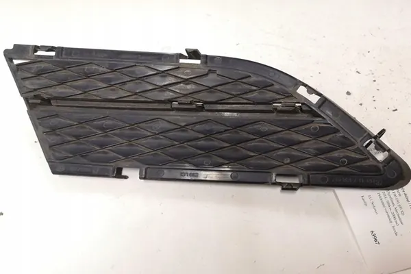 Griglia paraurti centrale BMW 3 (E90) 2011 image 4
